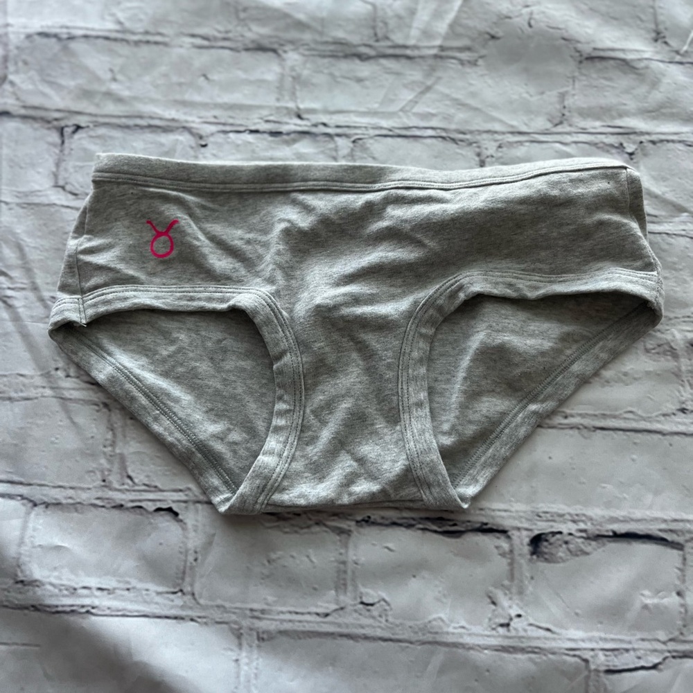 Aerie Soft Gray Briefs